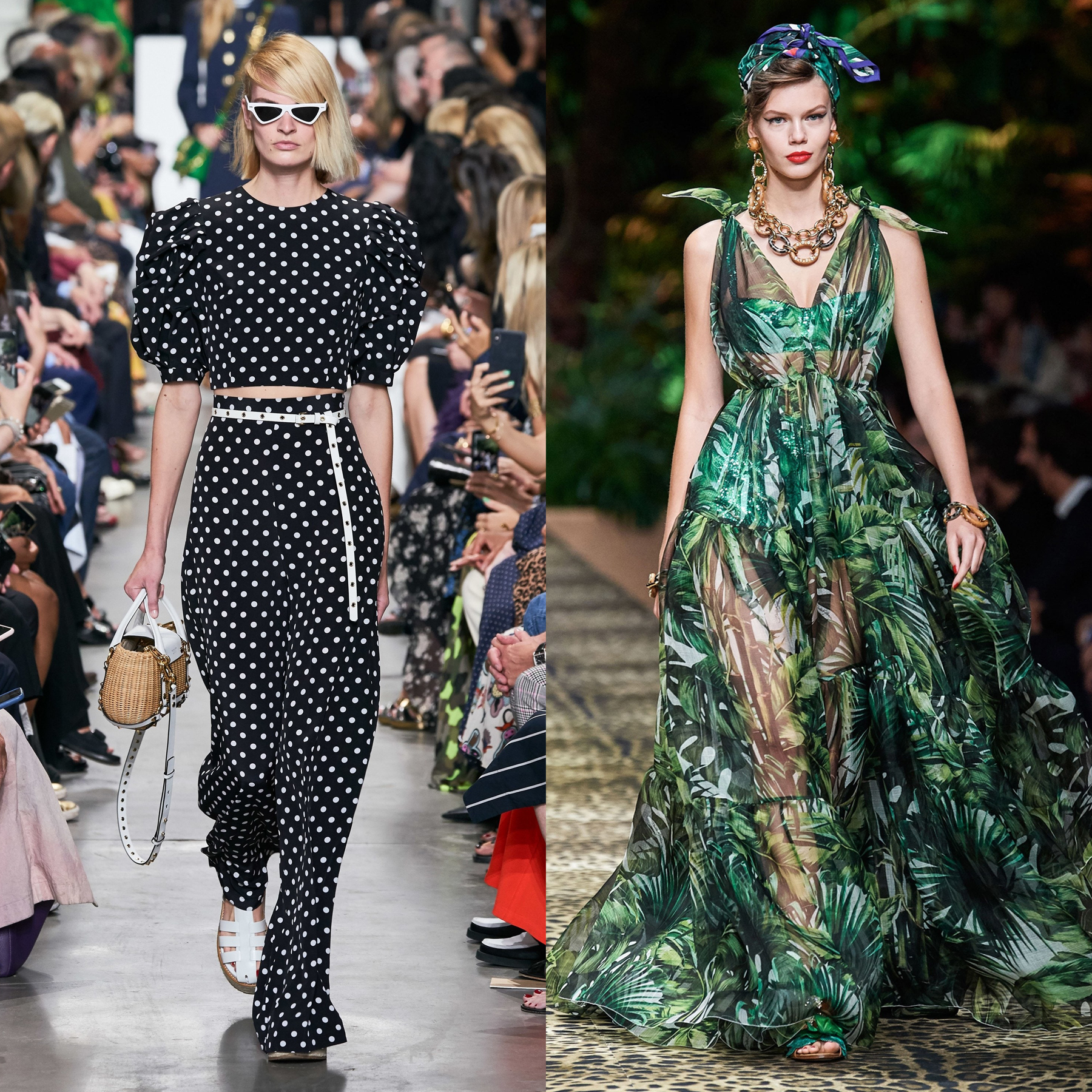 Pois & imprimé tropical