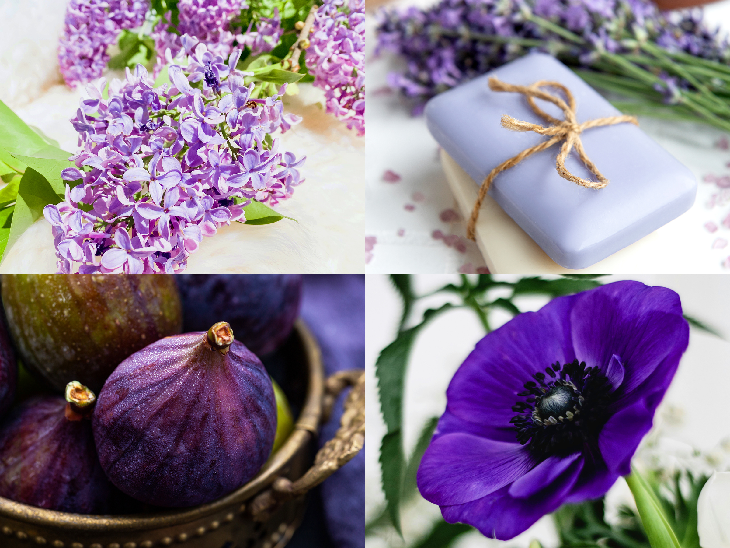Quelles nuances de violet choisir pour sa saison ?